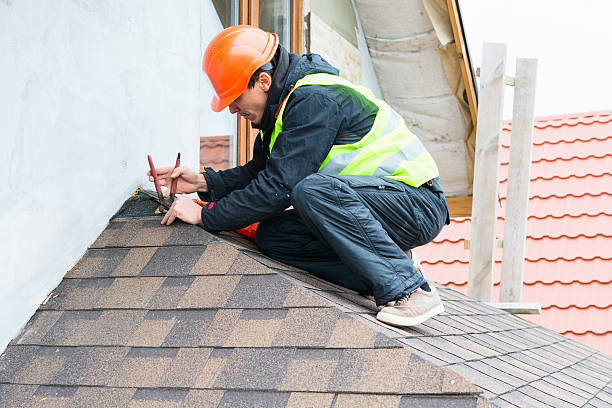 Best Roof Replacement Cost  in Newk, AR